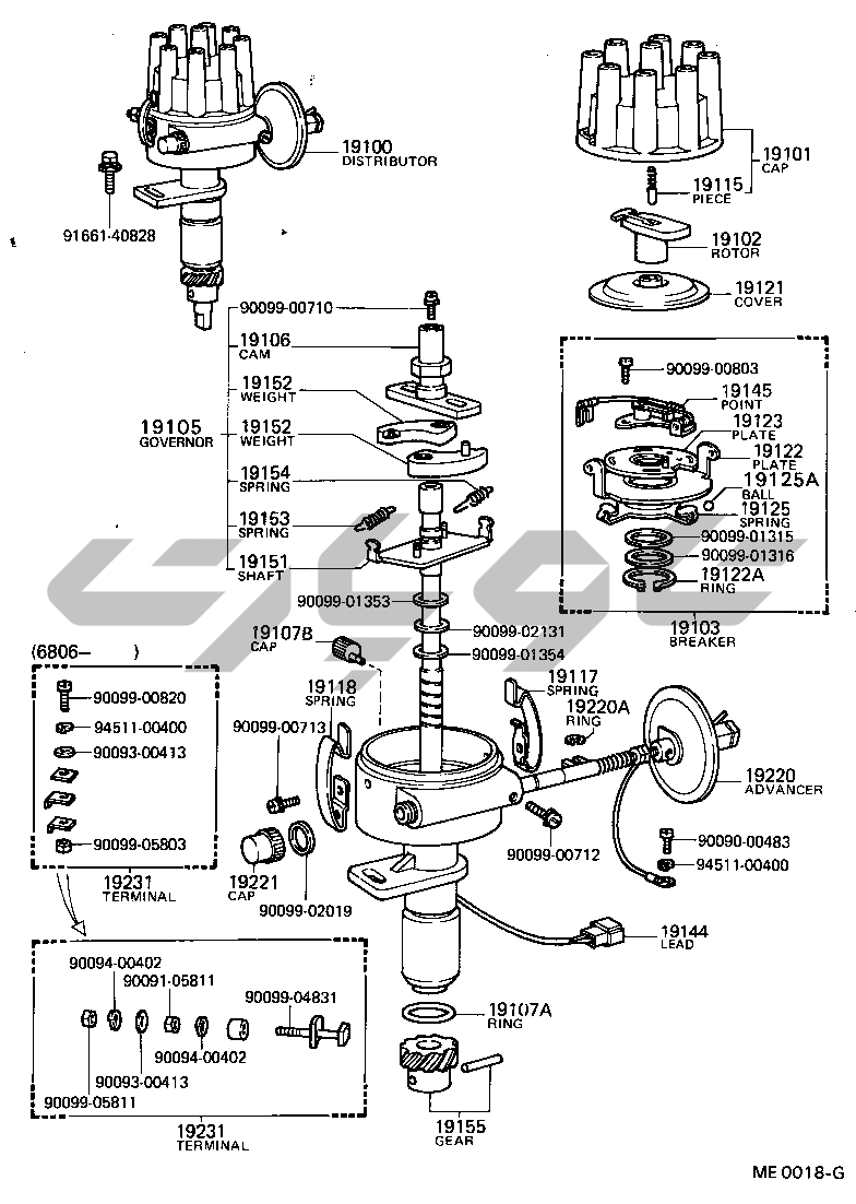 1902: DISTRIBUTOR