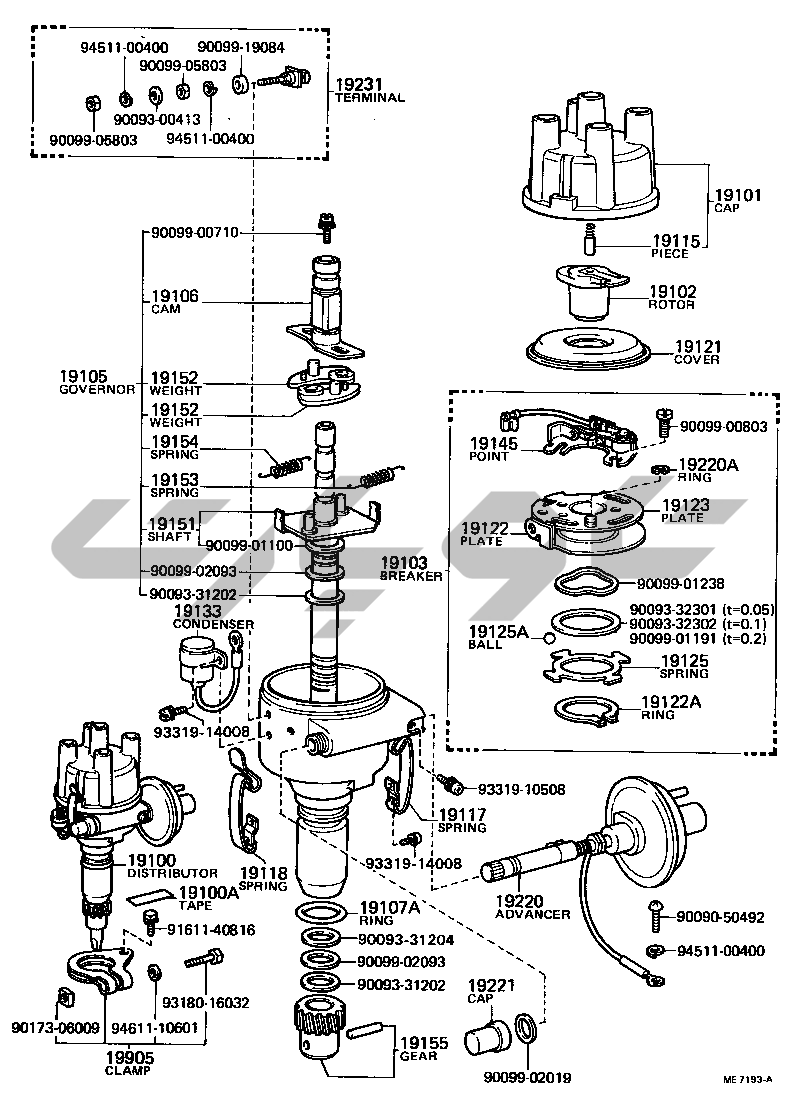 1902: DISTRIBUTOR