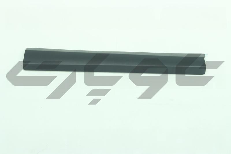 MOULDING SUB-ASSY