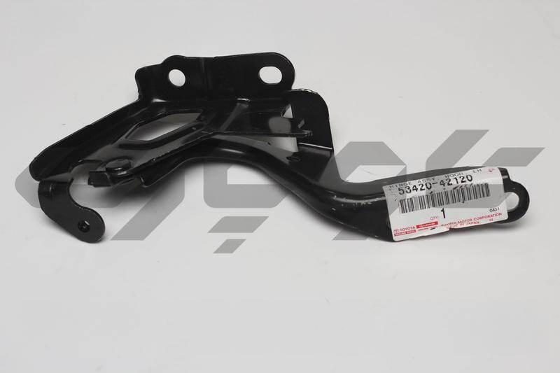 HINGE ASSY, HOOD, LH