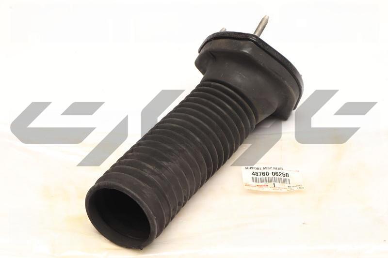 SUPPORT ASSY, RR SUSPENSION, LH