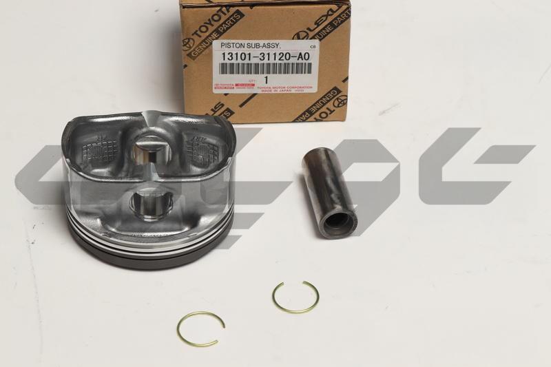 PISTON SUB-ASSY, W/PIN
