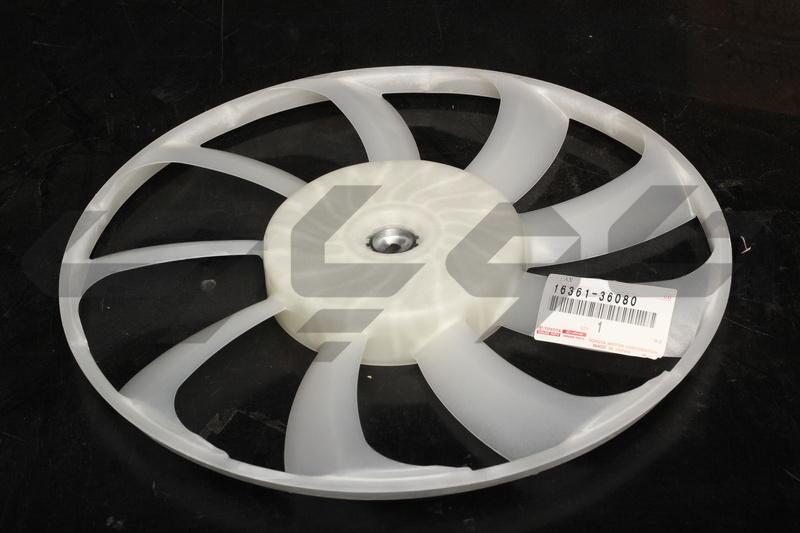 FAN