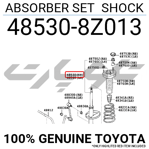 ABSORBER SET SHOCK
