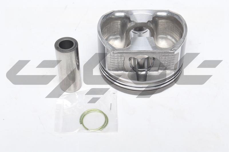 PISTON SUB-ASSY, W/PIN