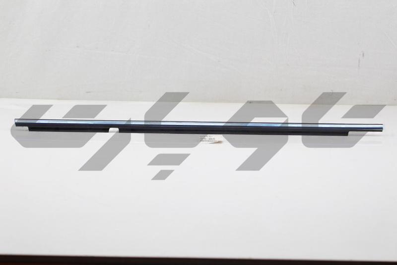 MOULDING ASSY, REAR DOOR BELT, LH