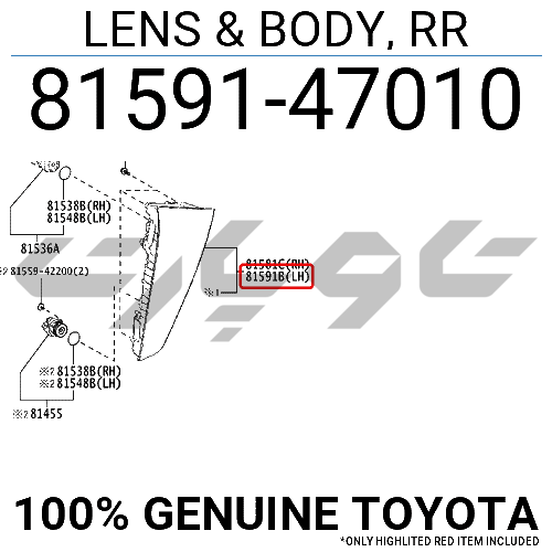 LENS & BODY, RR