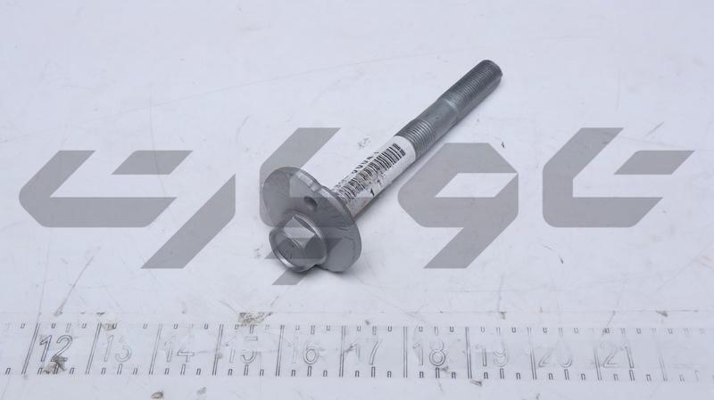 CAM ASSY, CAMBER