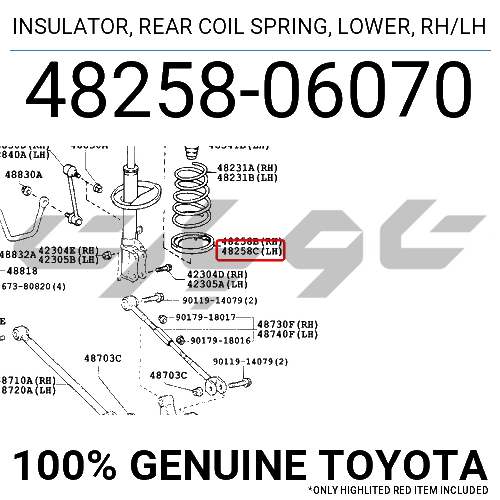 INSULATOR, REAR COIL SPRING, LOWER, RH/LH