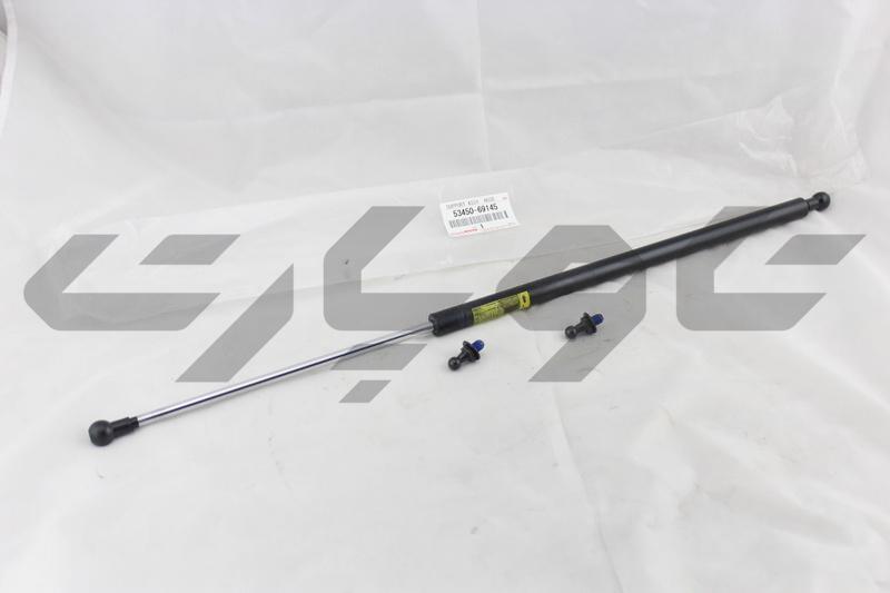 SUPPORT ASSY, HOOD, LH