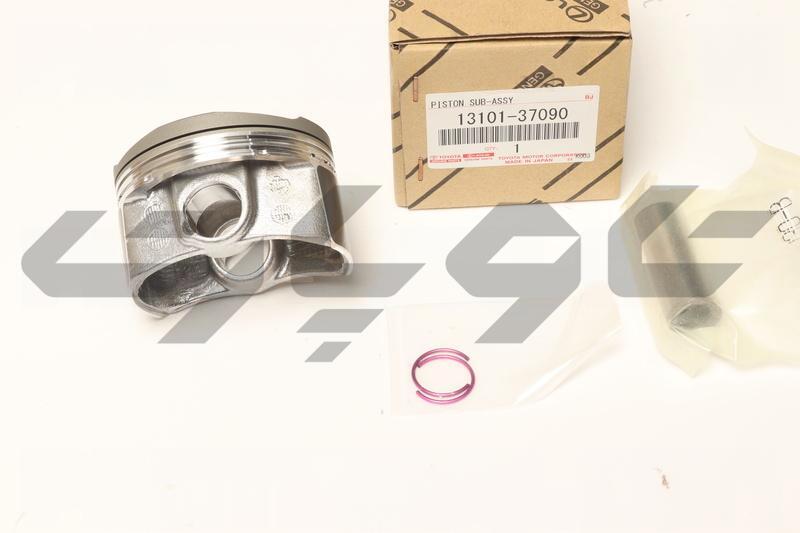 PISTON SUB-ASSY, W/PIN
