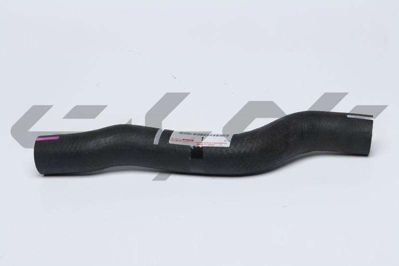 HOSE, RADIATOR, NO.1