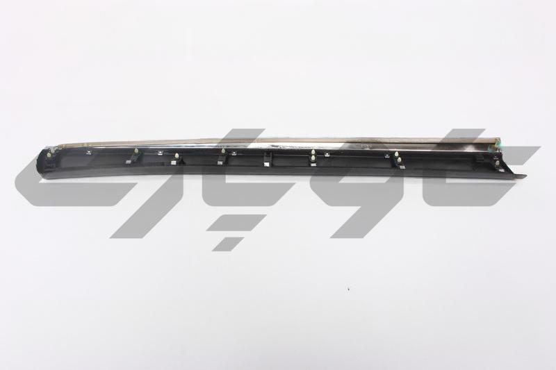 MOULDING SUB-ASSY, FRONT DOOR, OUTSIDE RH