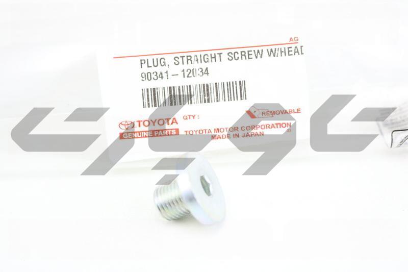 PLUG, STRAIGHT SCREW W/HEAD