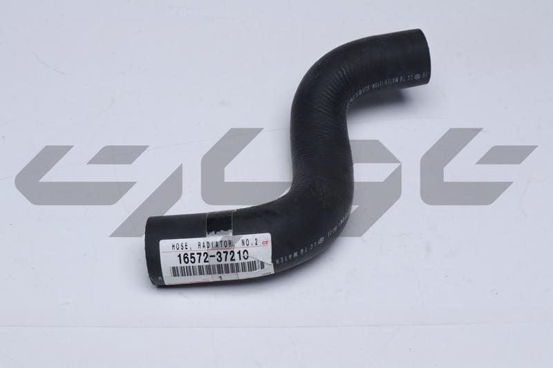 HOSE, RADIATOR, NO.2