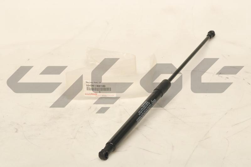 SUPPORT ASSY, HOOD, LH
