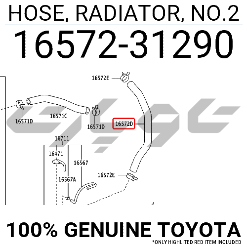 HOSE, RADIATOR, NO.2