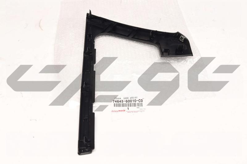 COVER, DOOR ASSIST GRIP, RH