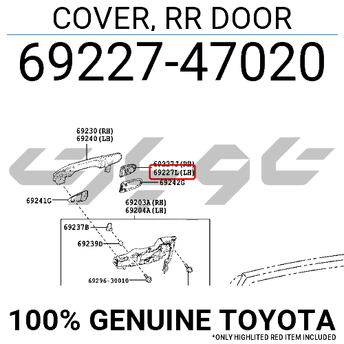 COVER, RR DOOR