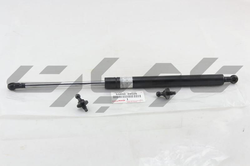 SUPPORT ASSY, HOOD, LH