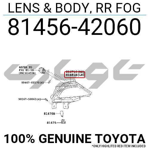 LENS & BODY, RR FOG
