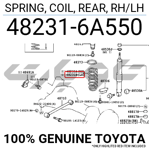 SPRING, COIL, REAR, RH/LH