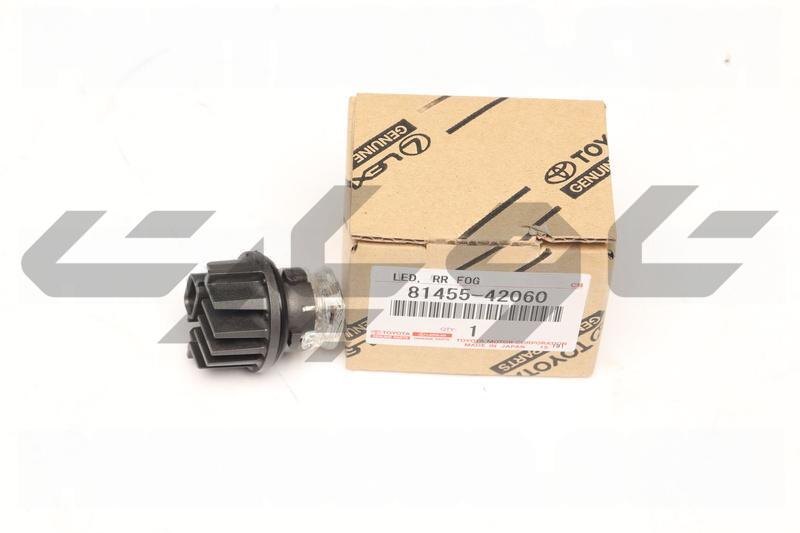 LED RR FOG LAMP