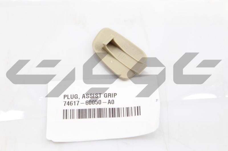 PLUG, ASSIST GRIP