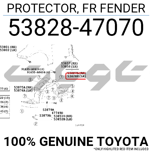 PROTECTOR, FR FENDER