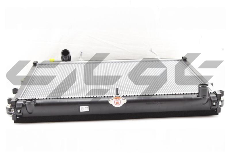 RADIATOR ASSY