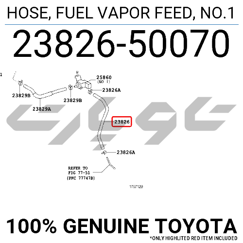 HOSE, FUEL VAPOR FEED, NO.1