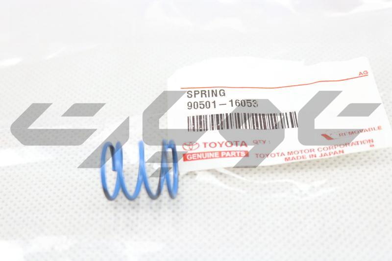 SPRING, BRAKE SHOE HOLD DOWN