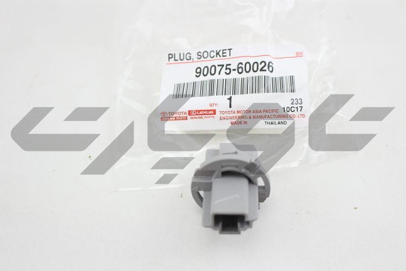 SOCKET & WIRE SUB-ASSY, REAR COMBINATION LAMP, RH/LH