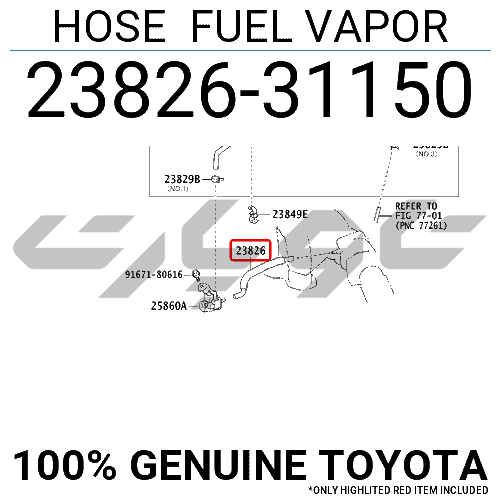 HOSE FUEL VAPOR