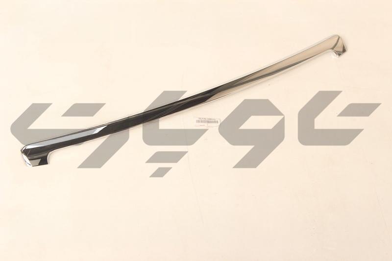 MOULDING ASSY, HOOD, FRONT