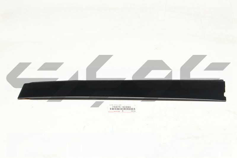 MOULDING SUB-ASSY, REAR DOOR, OUTSIDE RH