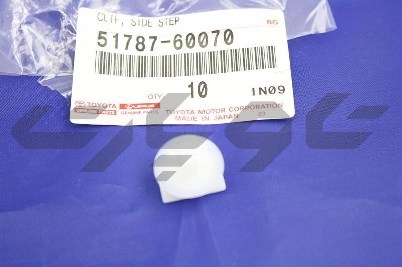 INSERT, SIDE DOOR STEP PLATE