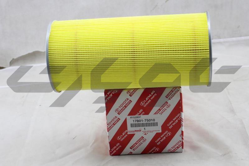 ELEMENT SUB-ASSY, AIR CLEANER FILTER