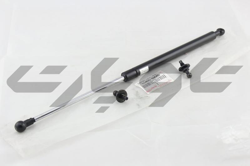 SUPPORT ASSY, HOOD, LH