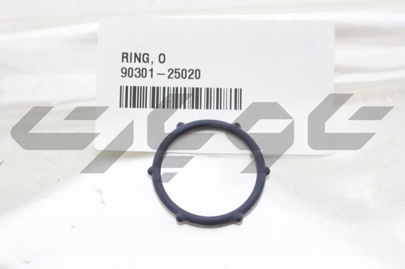 RING, O(FOR WATER PUMP)