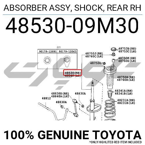 ABSORBER ASSY, SHOCK, REAR RH