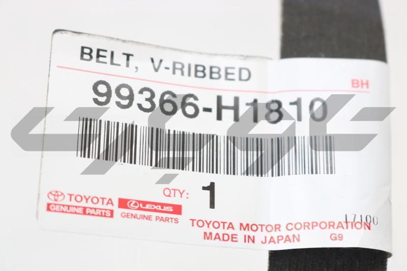 BELT, V-RIBBED