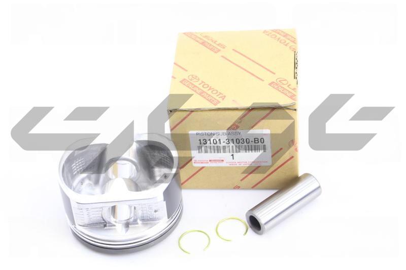 PISTON SUB-ASSY, W/PIN