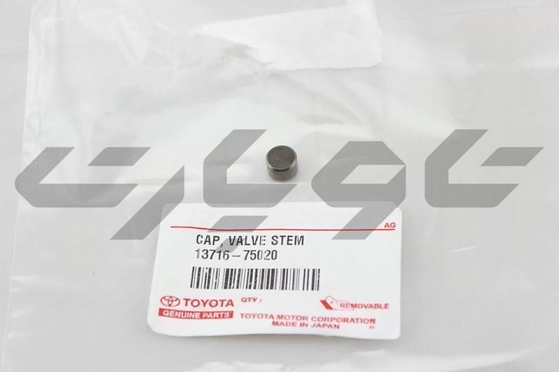 CAP, VALVE STEM
