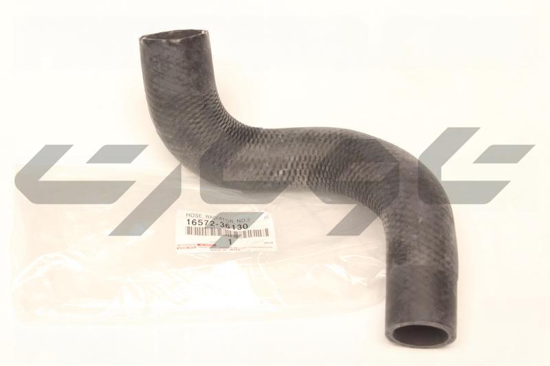 HOSE, RADIATOR, NO.2
