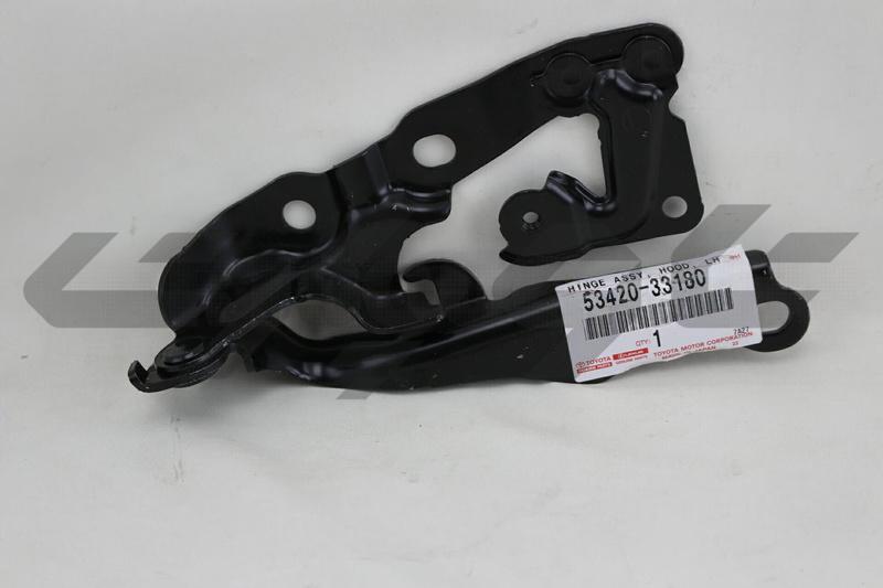 HINGE ASSY, HOOD, LH