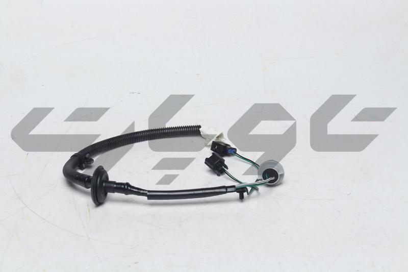 SOCKET & WIRE RR