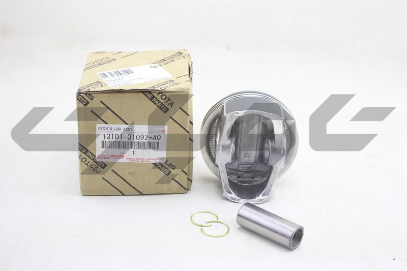 PISTON SUB-ASSY, W/PIN