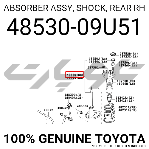 ABSORBER ASSY, SHOCK, REAR RH
