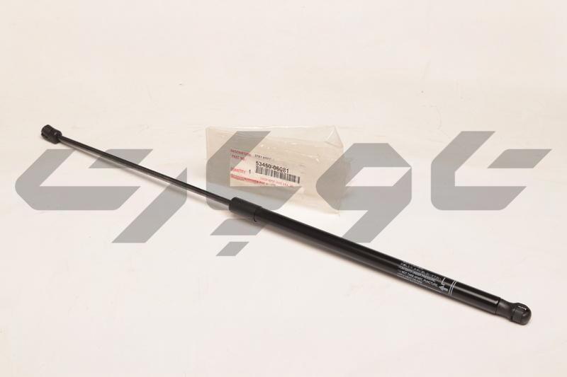 SUPPORT ASSY, HOOD, LH